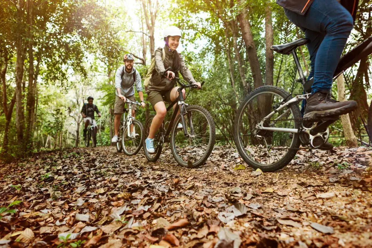 Mountain Bike in Val Pellice